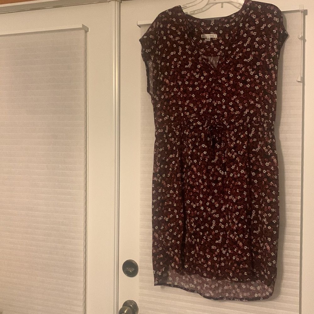 Sandra Darren Floral Dress 16